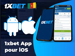 1xBet 1xBet